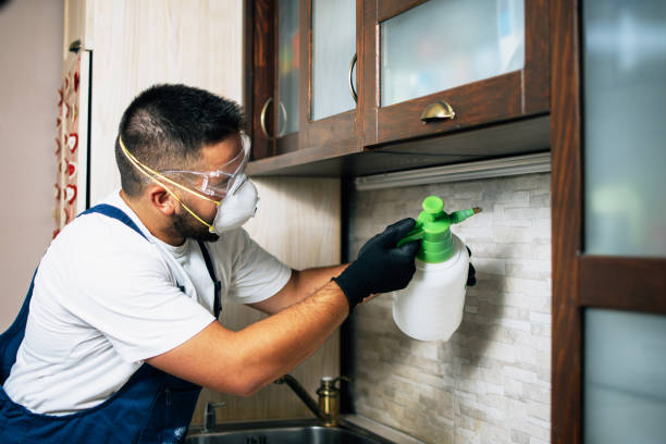 Best Affordable Pest Control Services  in Holiday Shores, IL