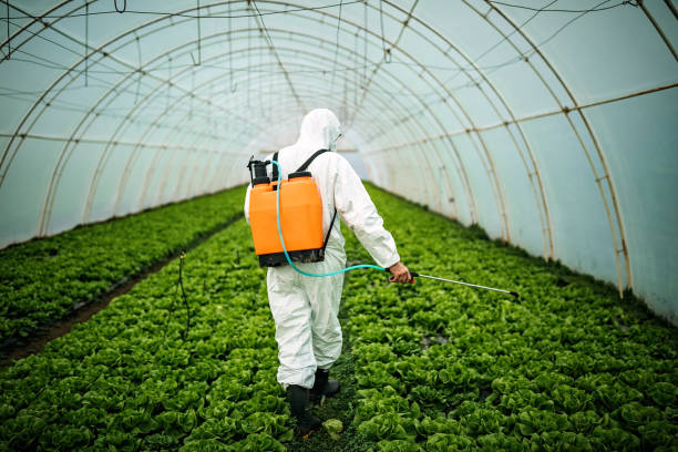 Best Local Pest Control Services  in Holiday Shores, IL