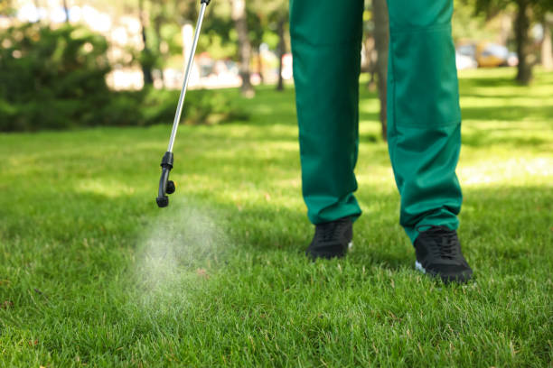 Best Pest Prevention Services  in Holiday Shores, IL