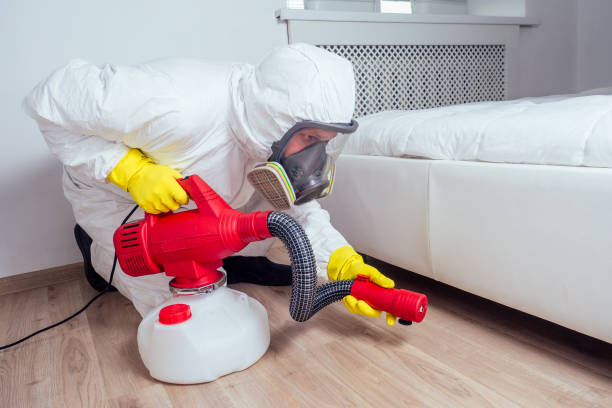 Best Pest Control Near Me  in Holiday Shores, IL