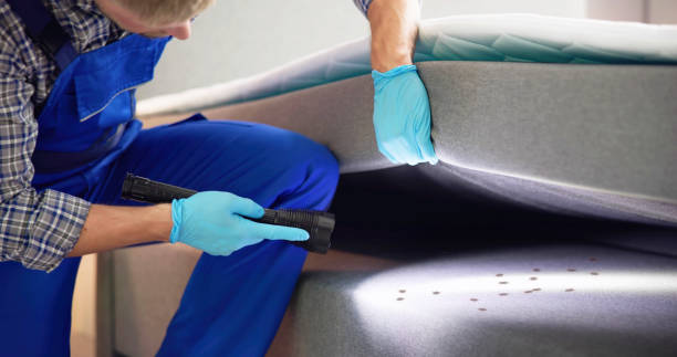 Best Flea Control Services  in Holiday Shores, IL