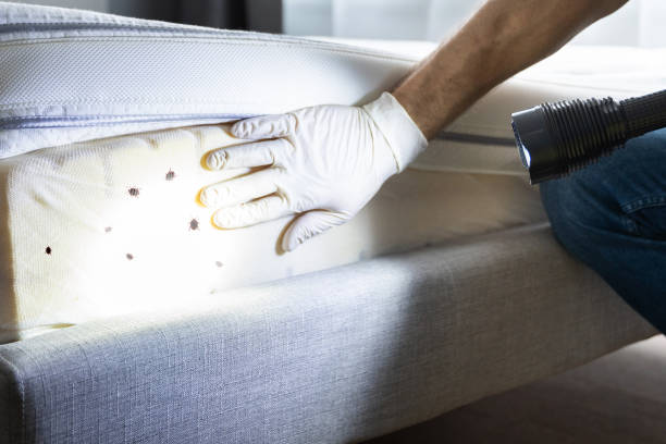 Best Best Pest Control Companies  in Holiday Shores, IL